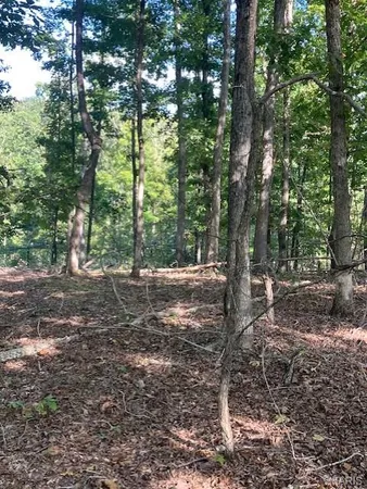 $67,595 | 175 Madison Cr, Fredericktown, MO 63645