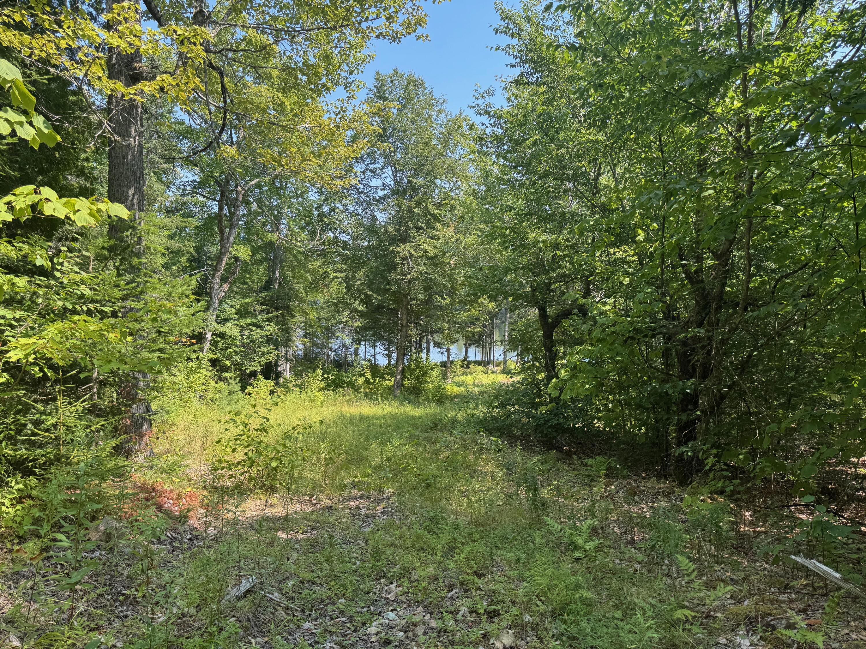 3 Steam Mill Road Robbinston, ME 04671 - Photo 13 of 14 IMG_6478