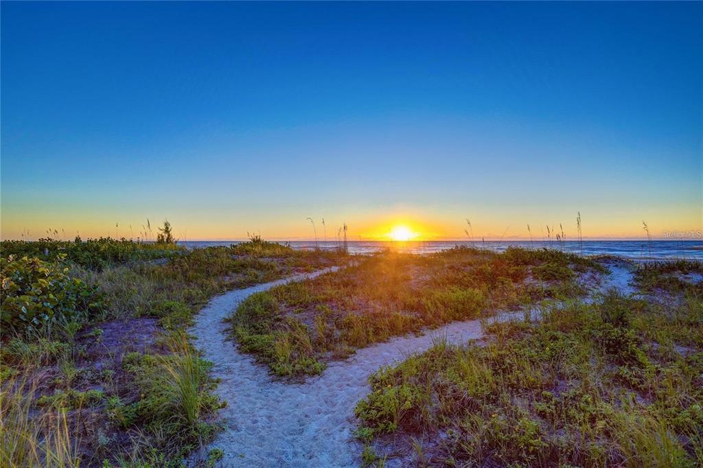 20204 Gulf Boulevard, Unit 4 Indian Shores, FL 33785 - Photo 8 of 31