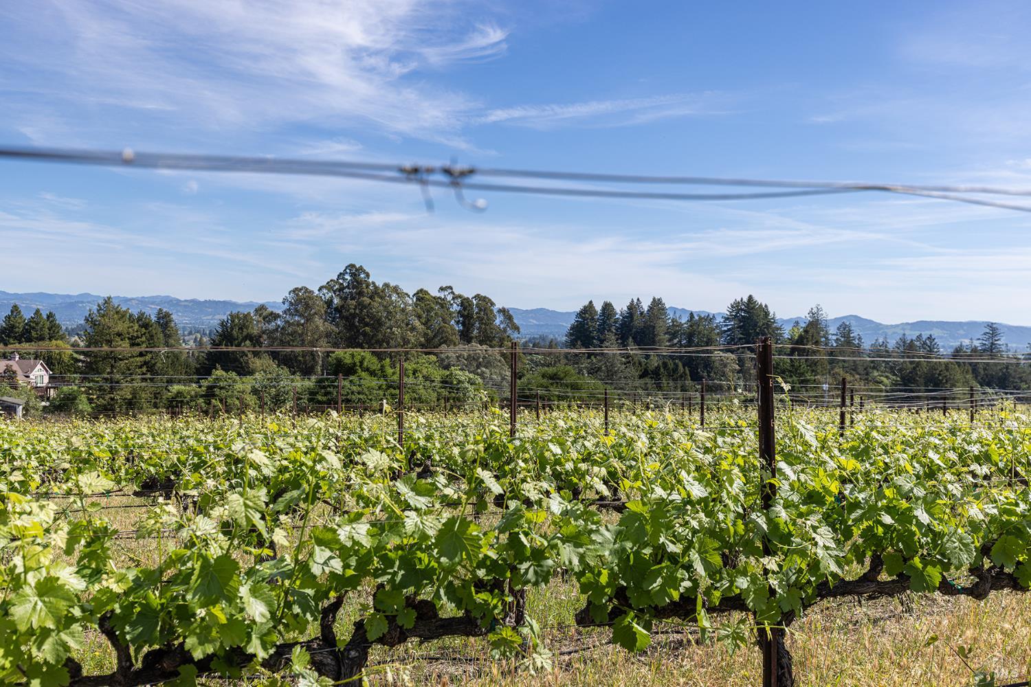 1365 Grandview Road Sebastopol, CA 95472 - Photo 32 of 74