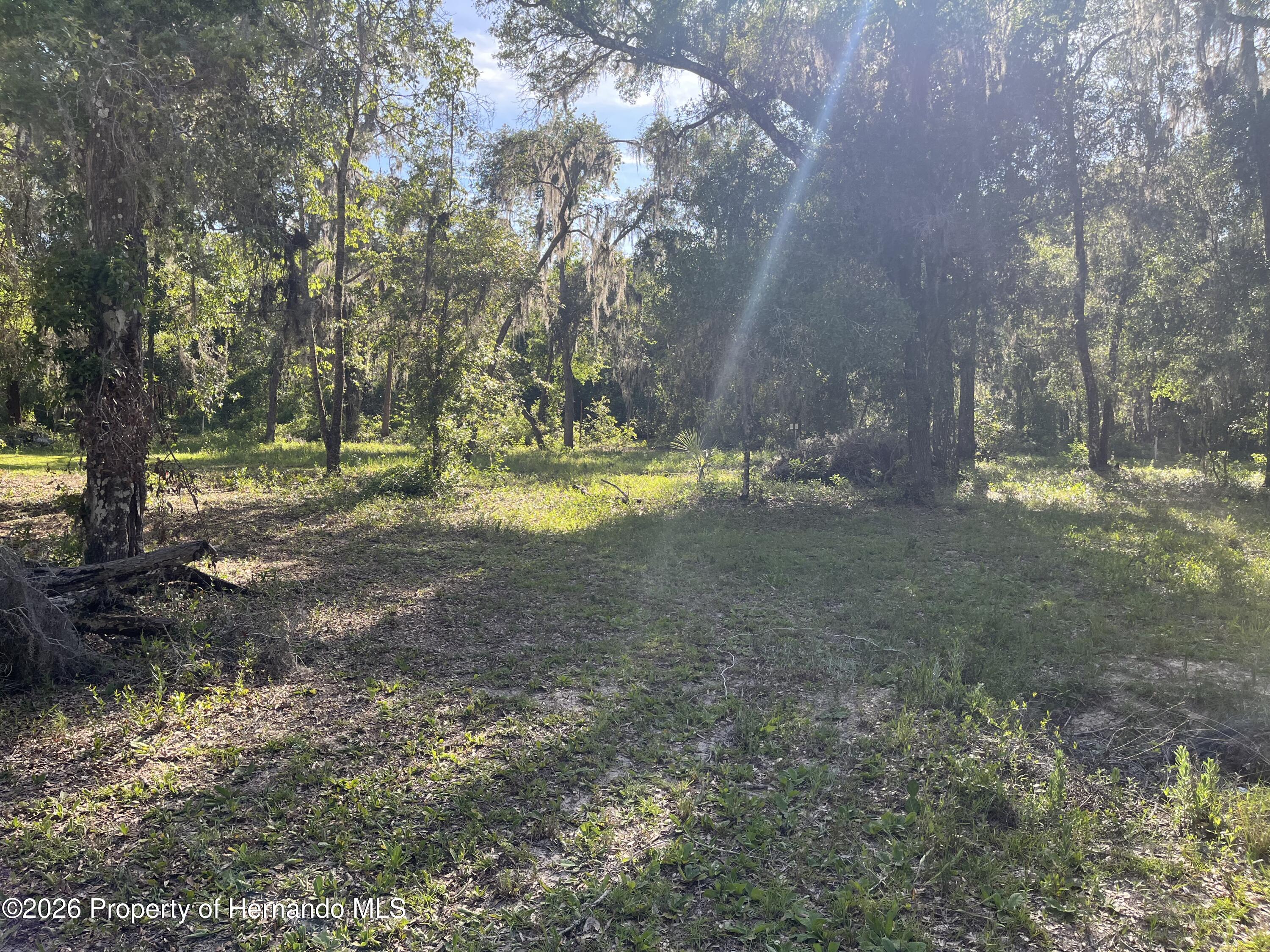 16305 Wiscon Road Brooksville, FL 34601 - Photo 21 of 33 Gallery Image 21