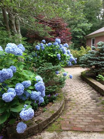 20 Head Of Pond Road Barnstable, MA 02648 - Photo 4 of 21 Gallery Image 4