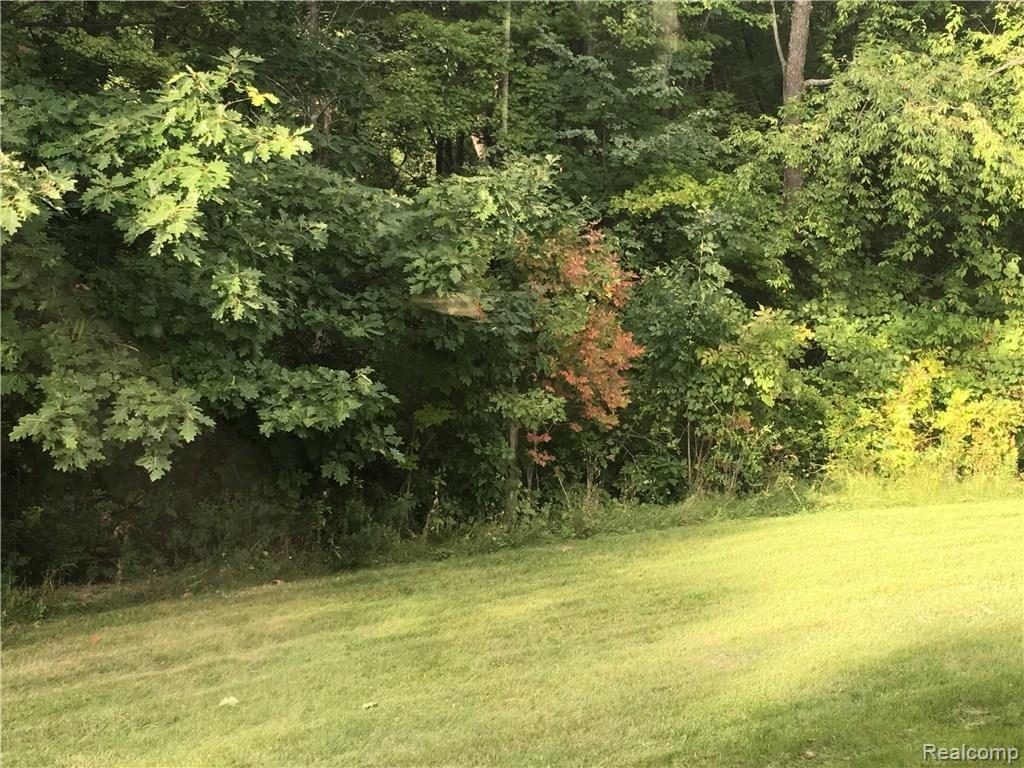 2389 Olds Road Metamora, MI 48455 - Photo 30 of 31 IMG_0980.JPG