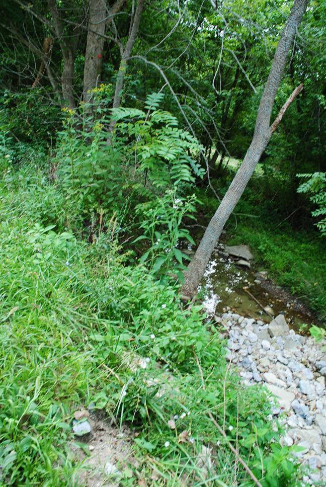 8 Flag Fork Road Frankfort, KY 40601 - Photo 7 of 9 Photo 7