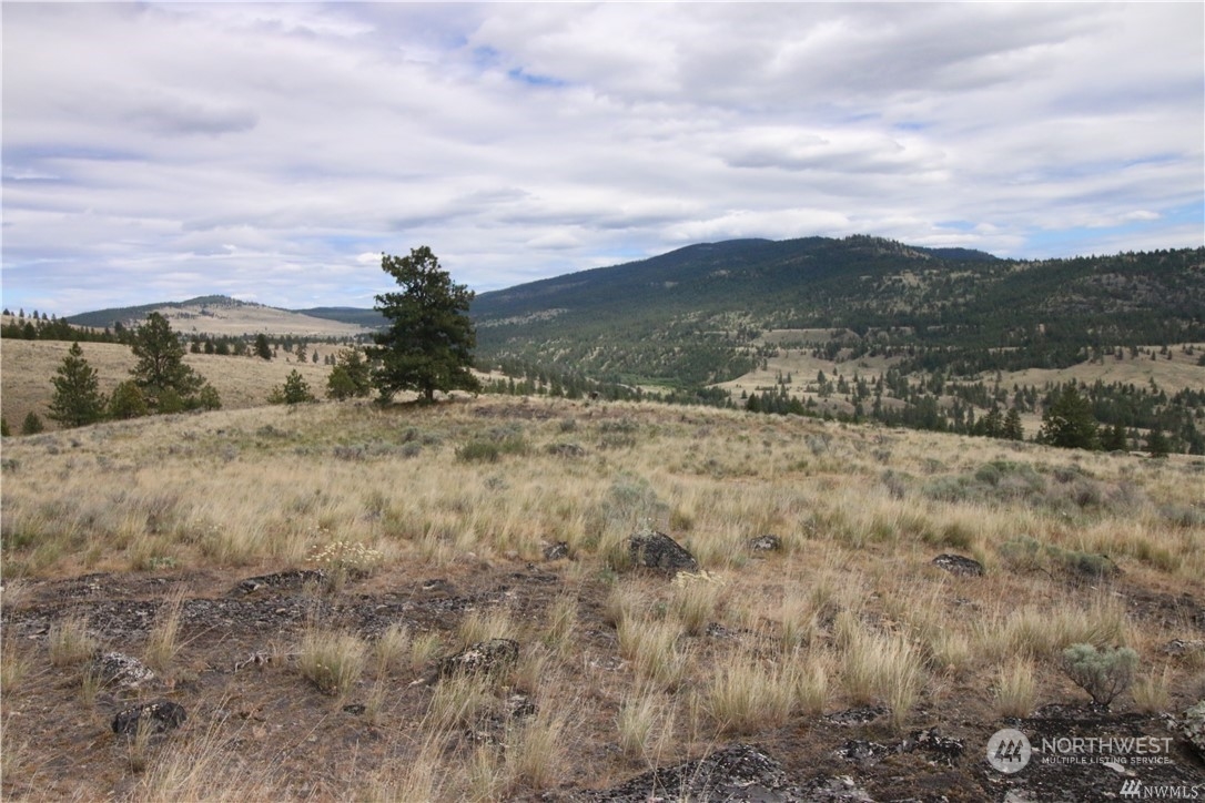 93 Dancing Pines Road Tonasket, WA 98855 - Photo 16 of 30 Gallery Image 16