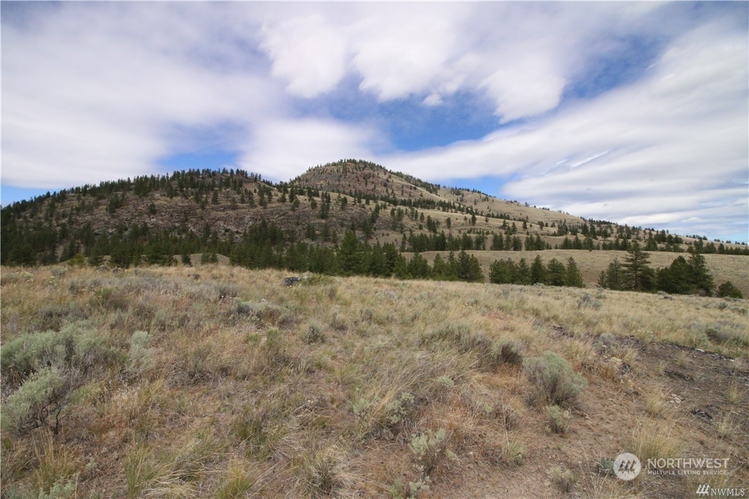 93 Dancing Pines Road Tonasket, WA 98855 - Photo 17 of 30 Gallery Image 17