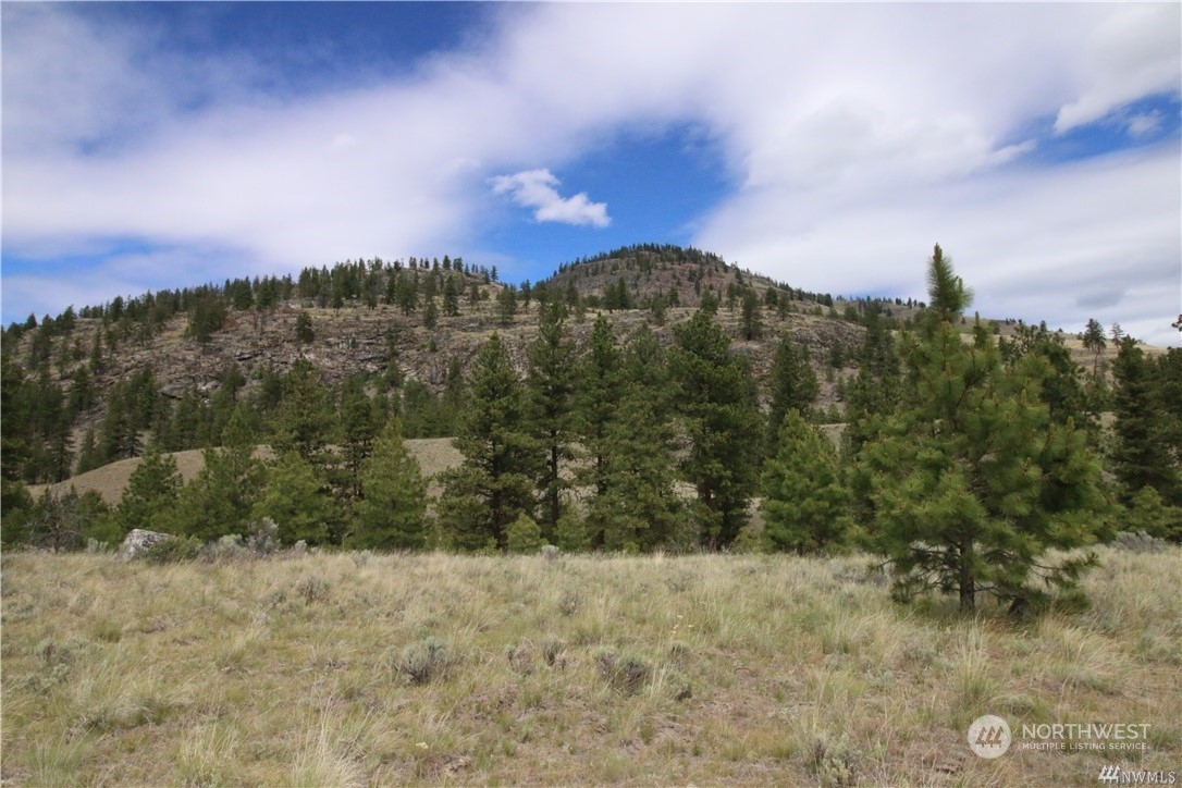 93 Dancing Pines Road Tonasket, WA 98855 - Photo 18 of 30 Gallery Image 18