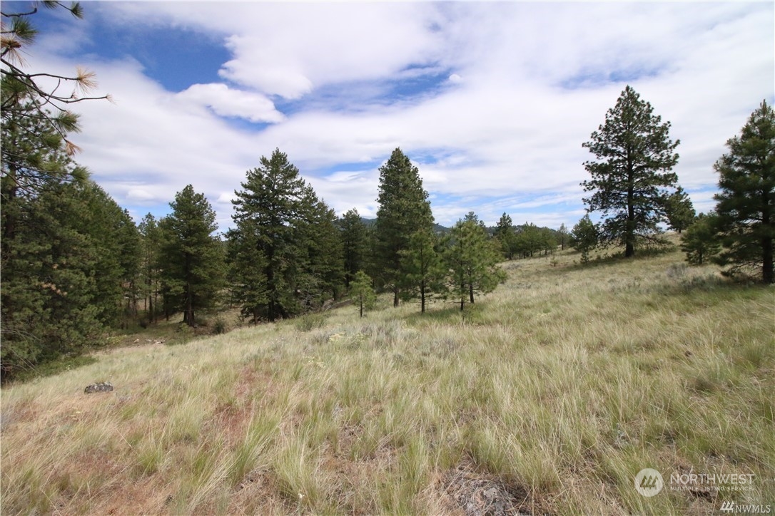 93 Dancing Pines Road Tonasket, WA 98855 - Photo 19 of 30 Gallery Image 19