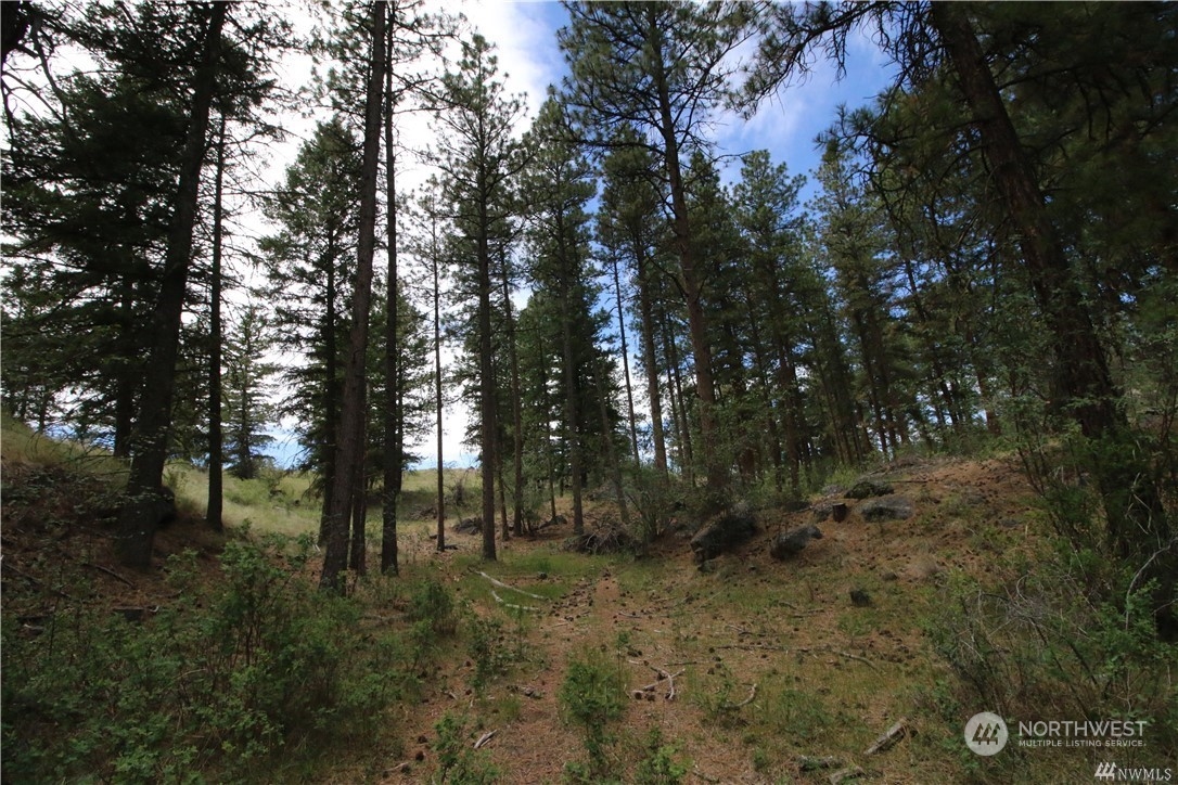 93 Dancing Pines Road Tonasket, WA 98855 - Photo 20 of 30 Gallery Image 20
