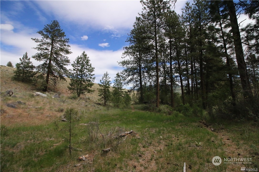 93 Dancing Pines Road Tonasket, WA 98855 - Photo 21 of 30 Gallery Image 21