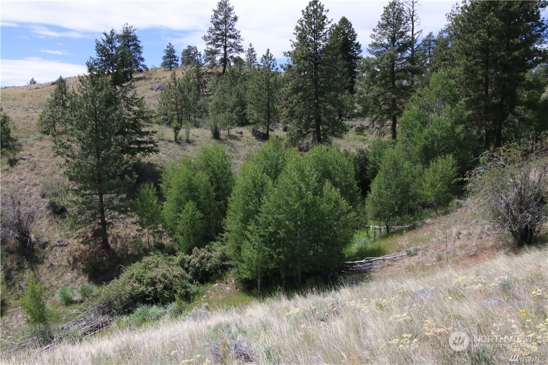 93 Dancing Pines Road Tonasket, WA 98855 - Photo 23 of 30 Gallery Image 23