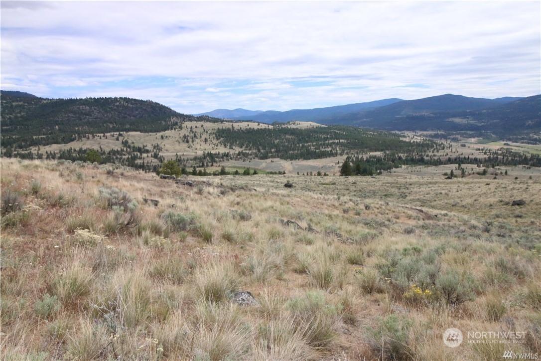 93 Dancing Pines Road Tonasket, WA 98855 - Photo 25 of 30 Gallery Image 25