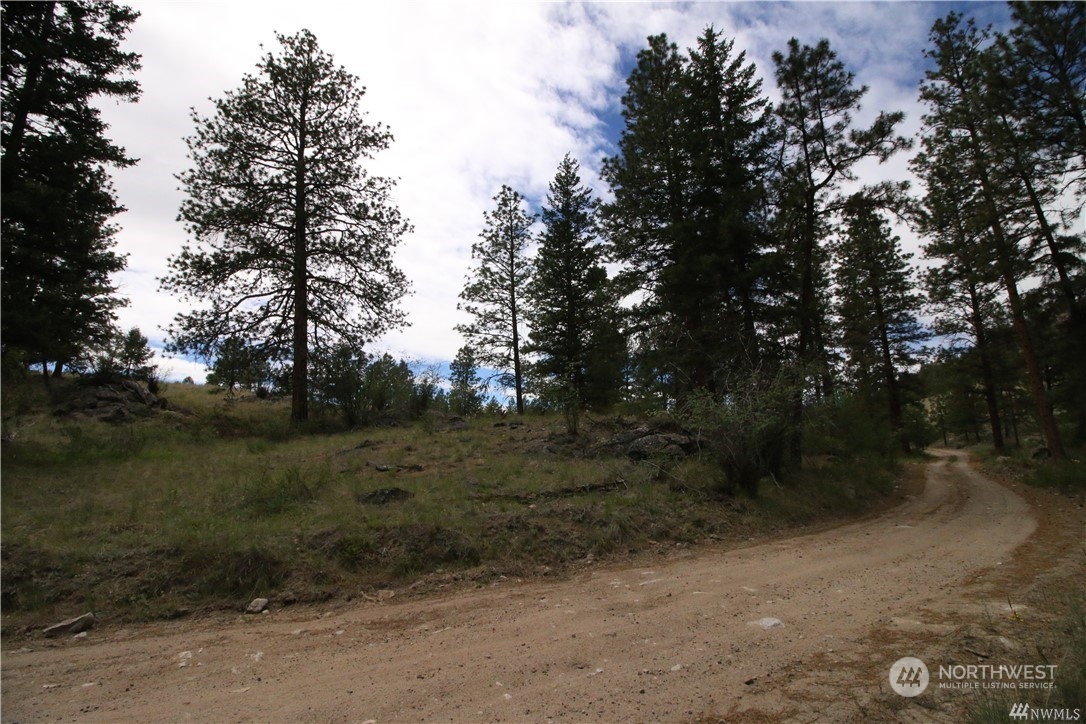 93 Dancing Pines Road Tonasket, WA 98855 - Photo 26 of 30 Gallery Image 26