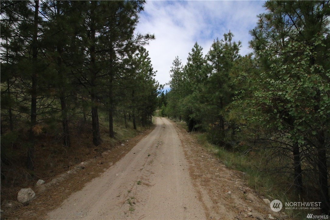 93 Dancing Pines Road Tonasket, WA 98855 - Photo 27 of 30 Gallery Image 27