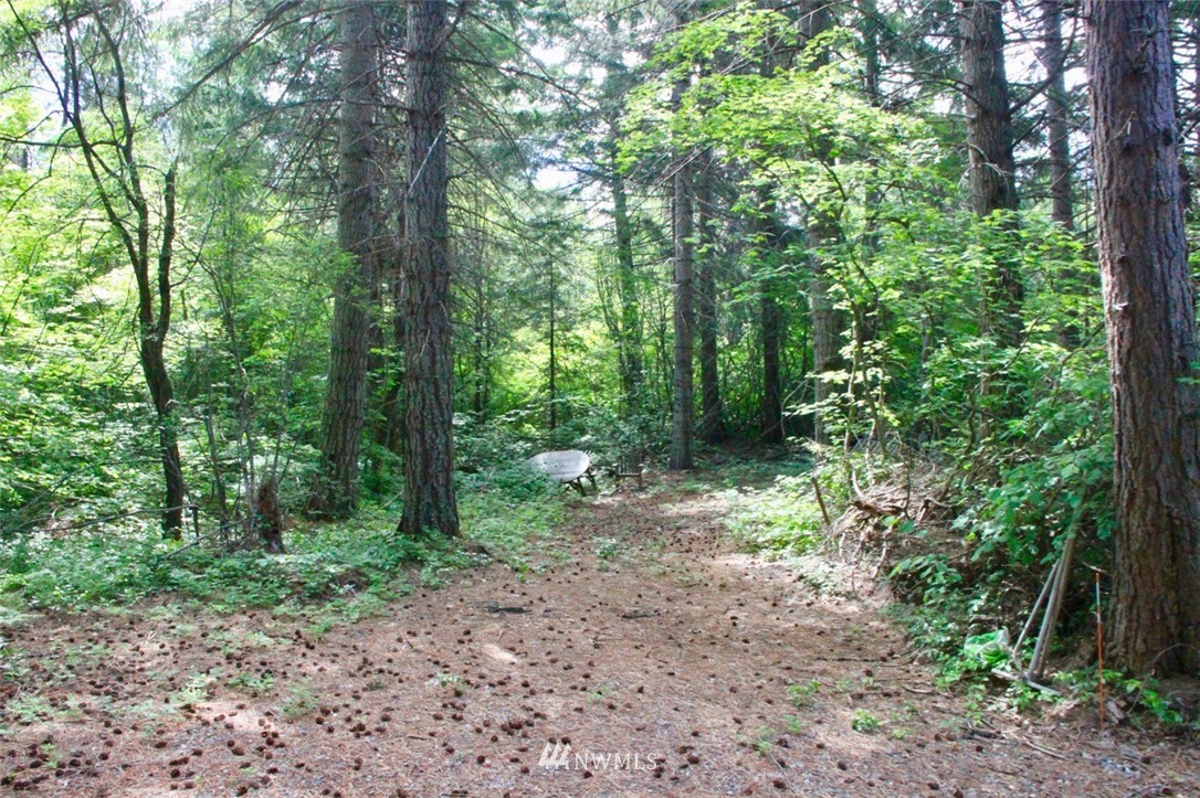 4-lot Filbert Road Cle Elum, WA 98922 - Photo 1 of 14