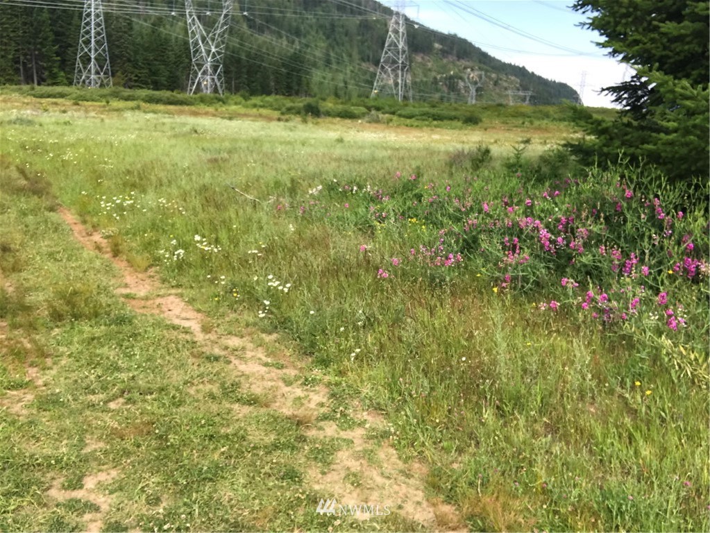 4-lot Filbert Road Cle Elum, WA 98922 - Photo 12 of 14