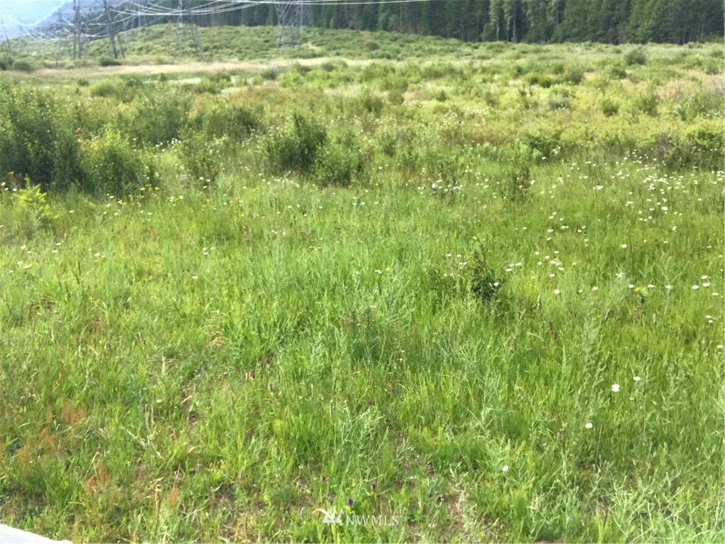 4-lot Filbert Road Cle Elum, WA 98922 - Photo 13 of 14