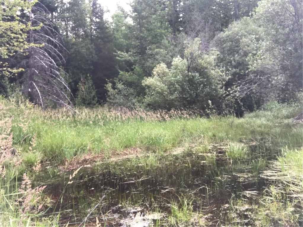 4-lot Filbert Road Cle Elum, WA 98922 - Photo 14 of 14