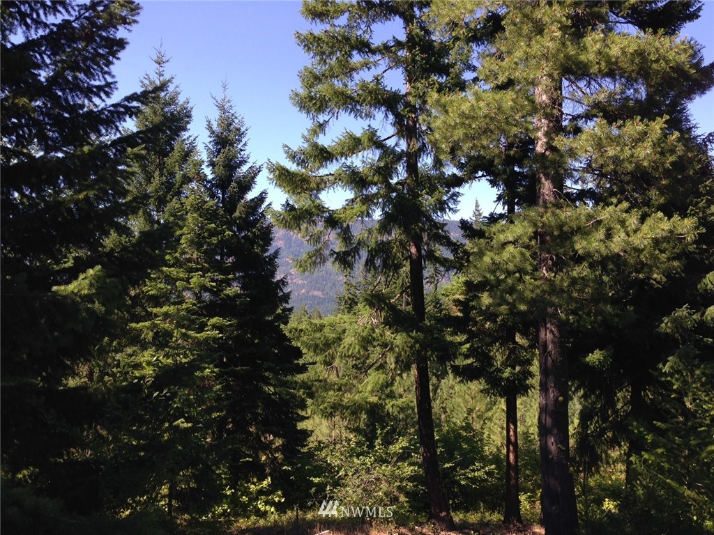 4-lot Filbert Road Cle Elum, WA 98922 - Photo 3 of 14