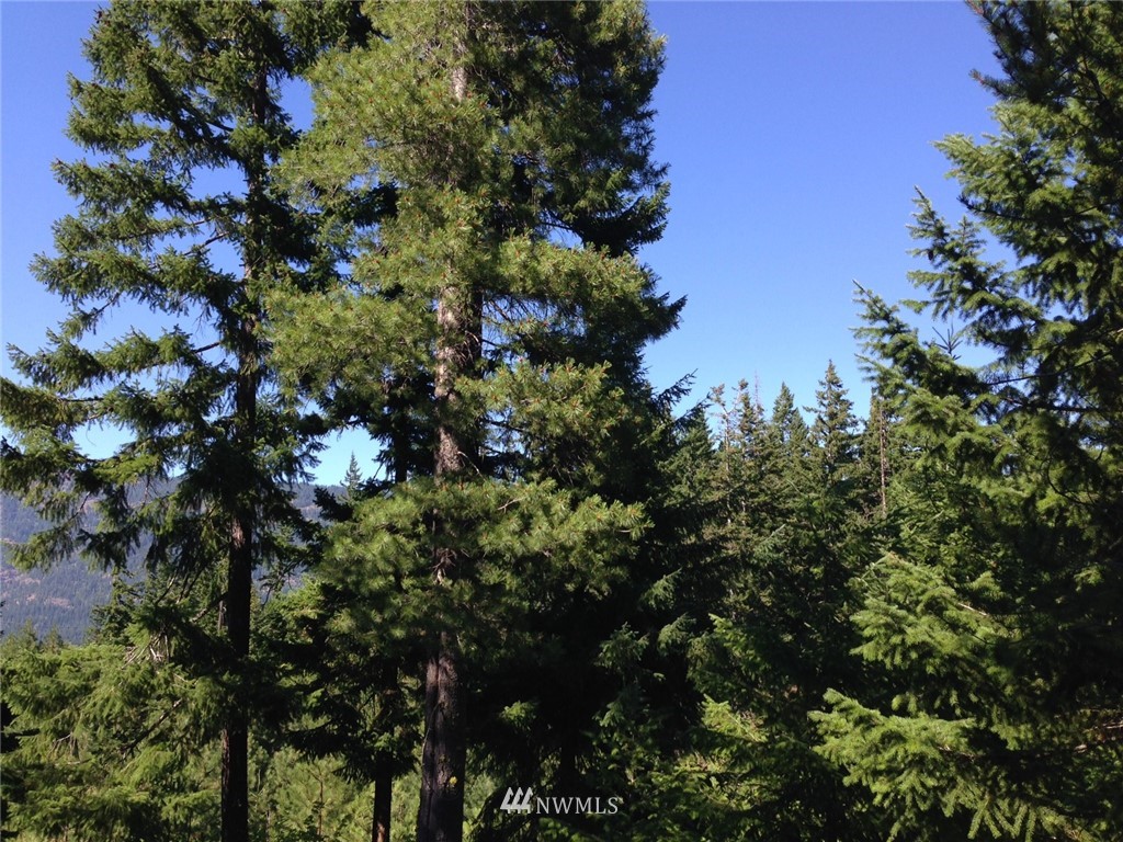4-lot Filbert Road Cle Elum, WA 98922 - Photo 4 of 14