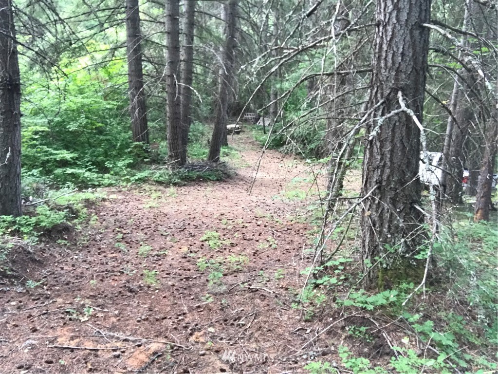 4-lot Filbert Road Cle Elum, WA 98922 - Photo 10 of 14