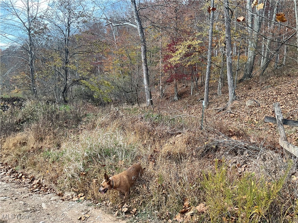 0 White Oak Road Walker, WV 26180 - Photo 2 of 39