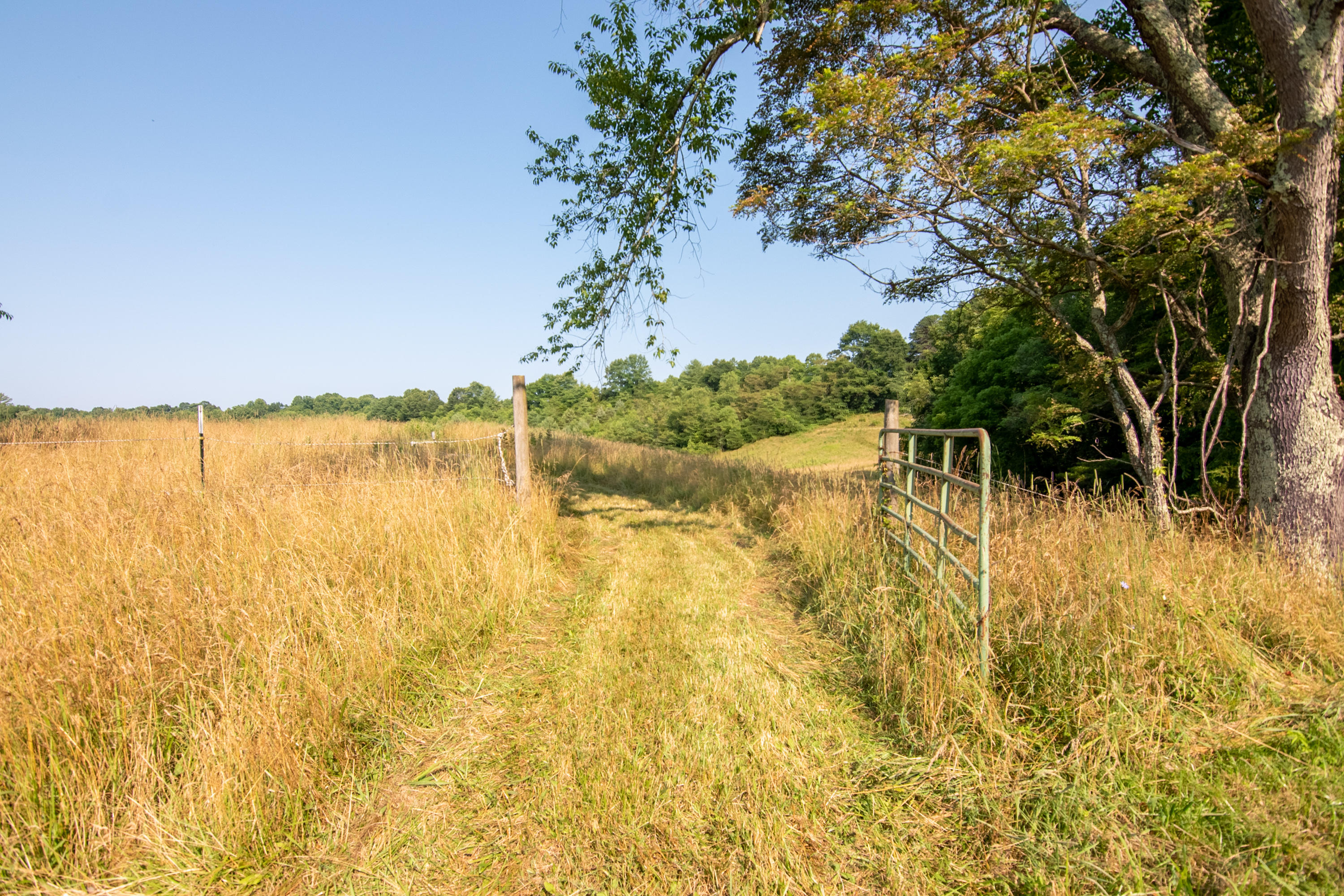 415 Reed Hill Road Northwest Floyd, VA 24091 - Photo 11 of 69 DSC_3059-HDR