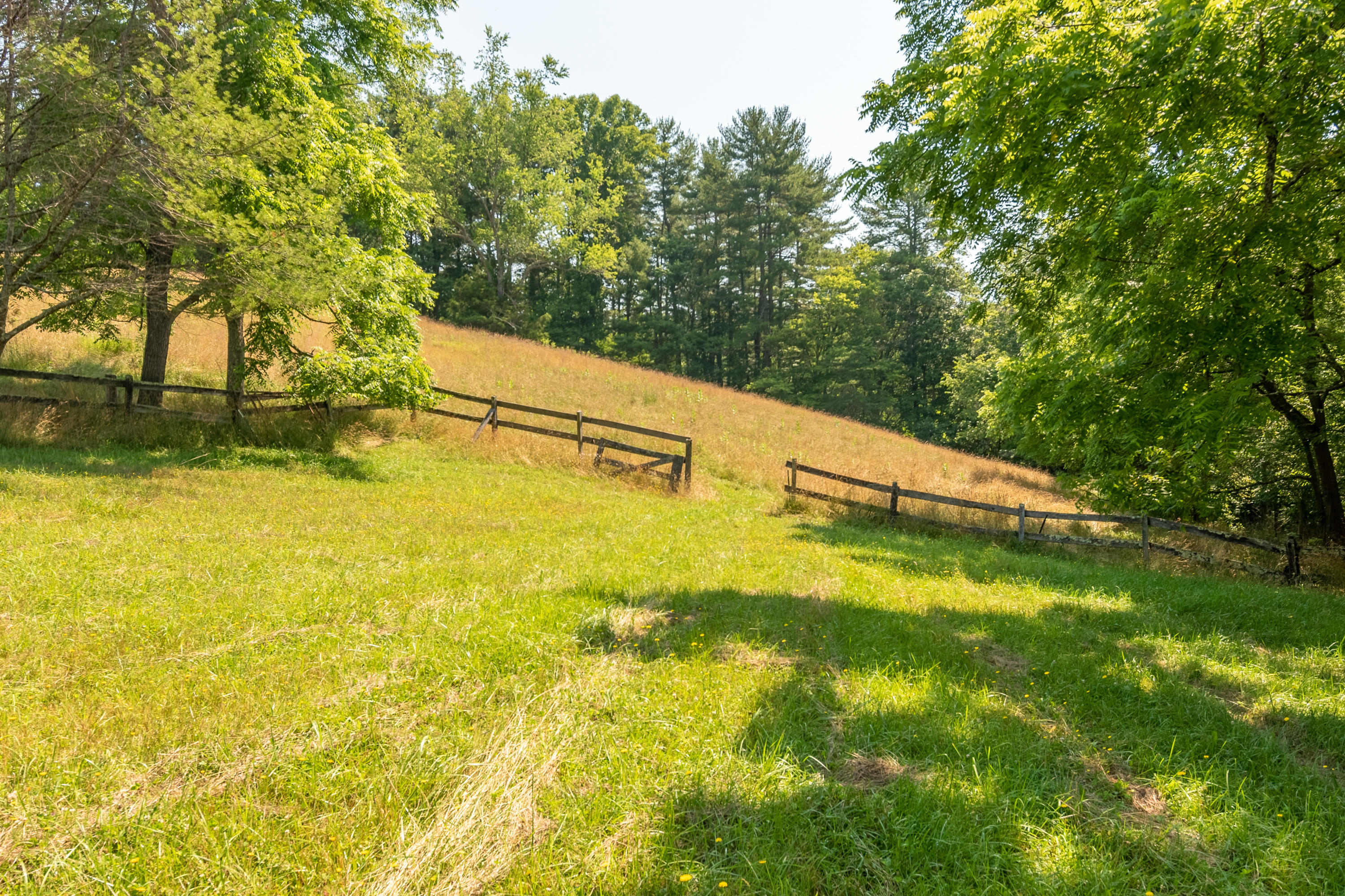 415 Reed Hill Road Northwest Floyd, VA 24091 - Photo 65 of 69 DSC_3323-HDR