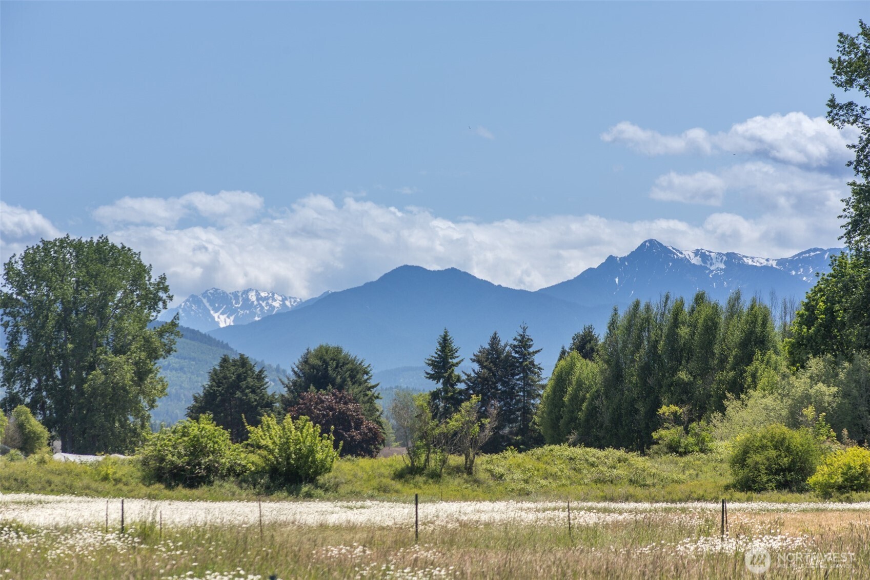 243 Brazil Road Sequim, WA 98382 - Photo 8 of 40
