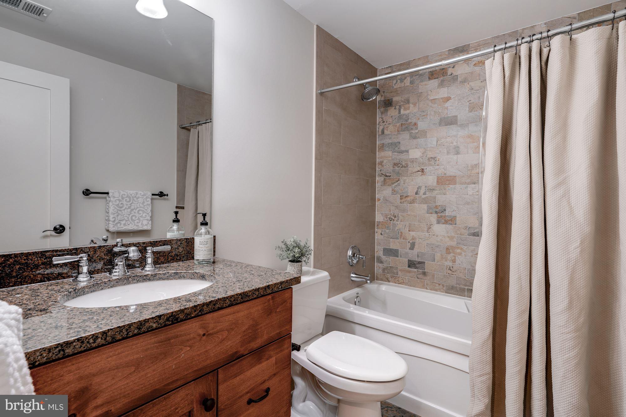 3007 North Rochester Street Arlington, VA 22213 - Photo 39 of 43 a bathroom with a granite countertop sink toilet and shower