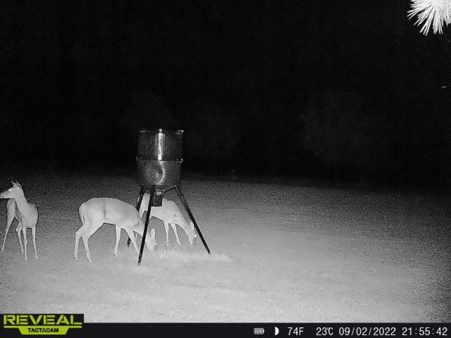 166 Parsonage Colfax, LA 71417 - Photo 42 of 47 Gallery Image 42
