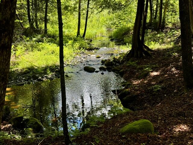 M10-l20 Judkins Road Harmony, ME 04942 - Photo 33 of 39