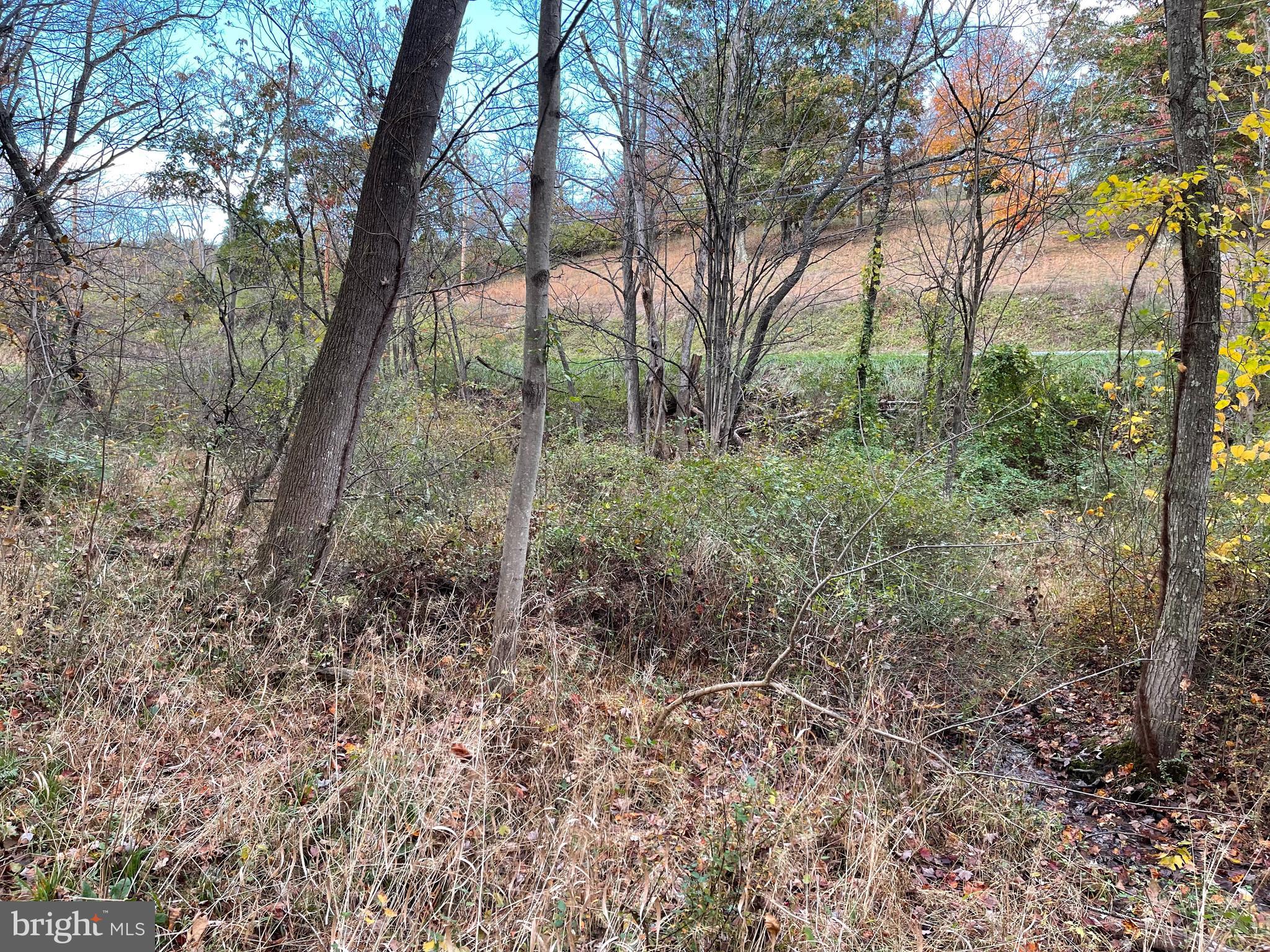 0 Winchester Grade Road Berkeley Springs, WV 25411 - Photo 3 of 10 Gallery Image 3