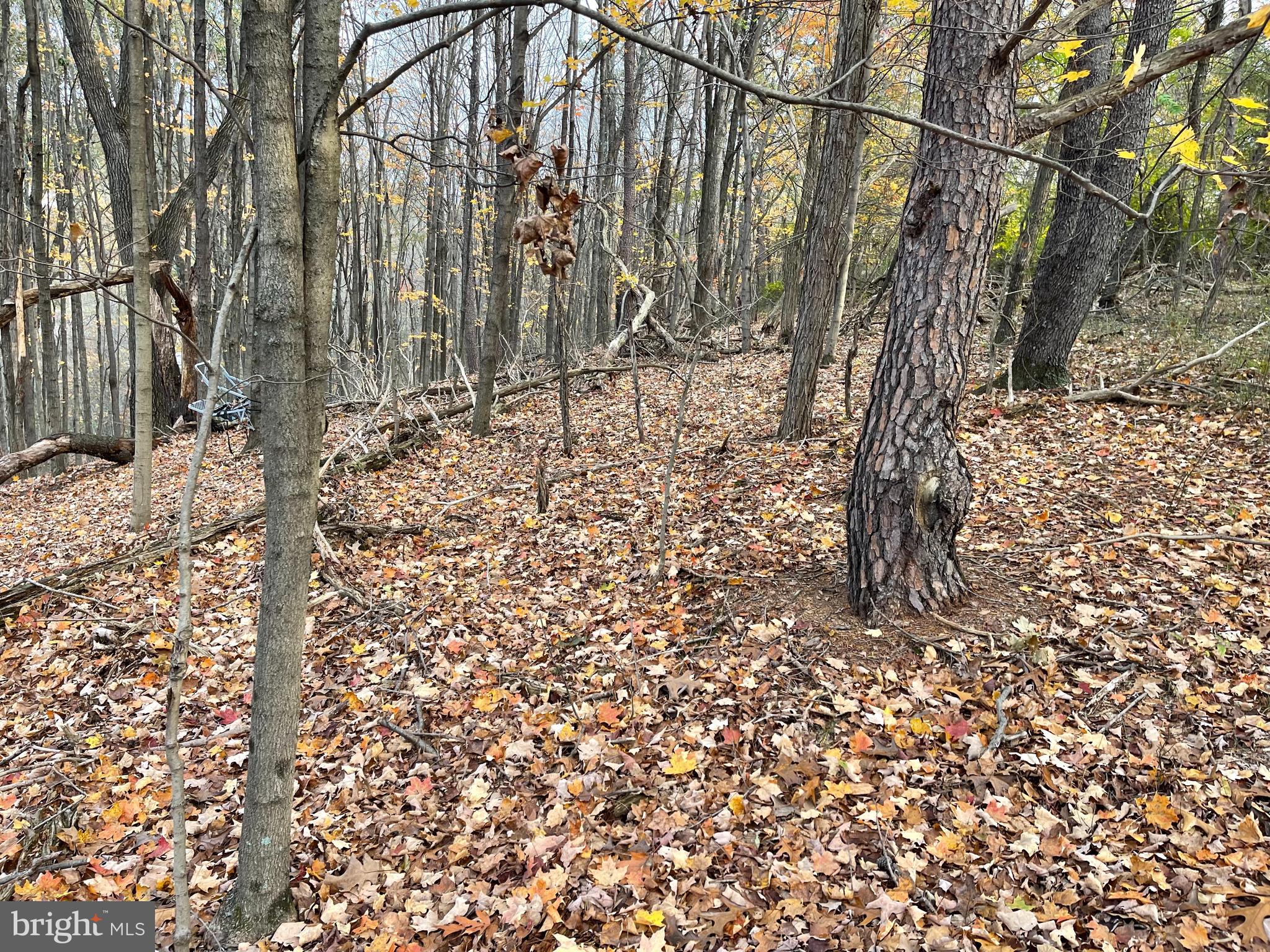 0 Winchester Grade Road Berkeley Springs, WV 25411 - Photo 8 of 10 Gallery Image 8