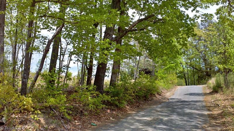 3 Misty Mountain Road Germanton, NC 27019 - Photo 4 of 17 Gallery Image 4