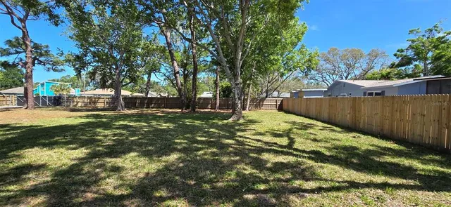 a view of a yard with a large tree