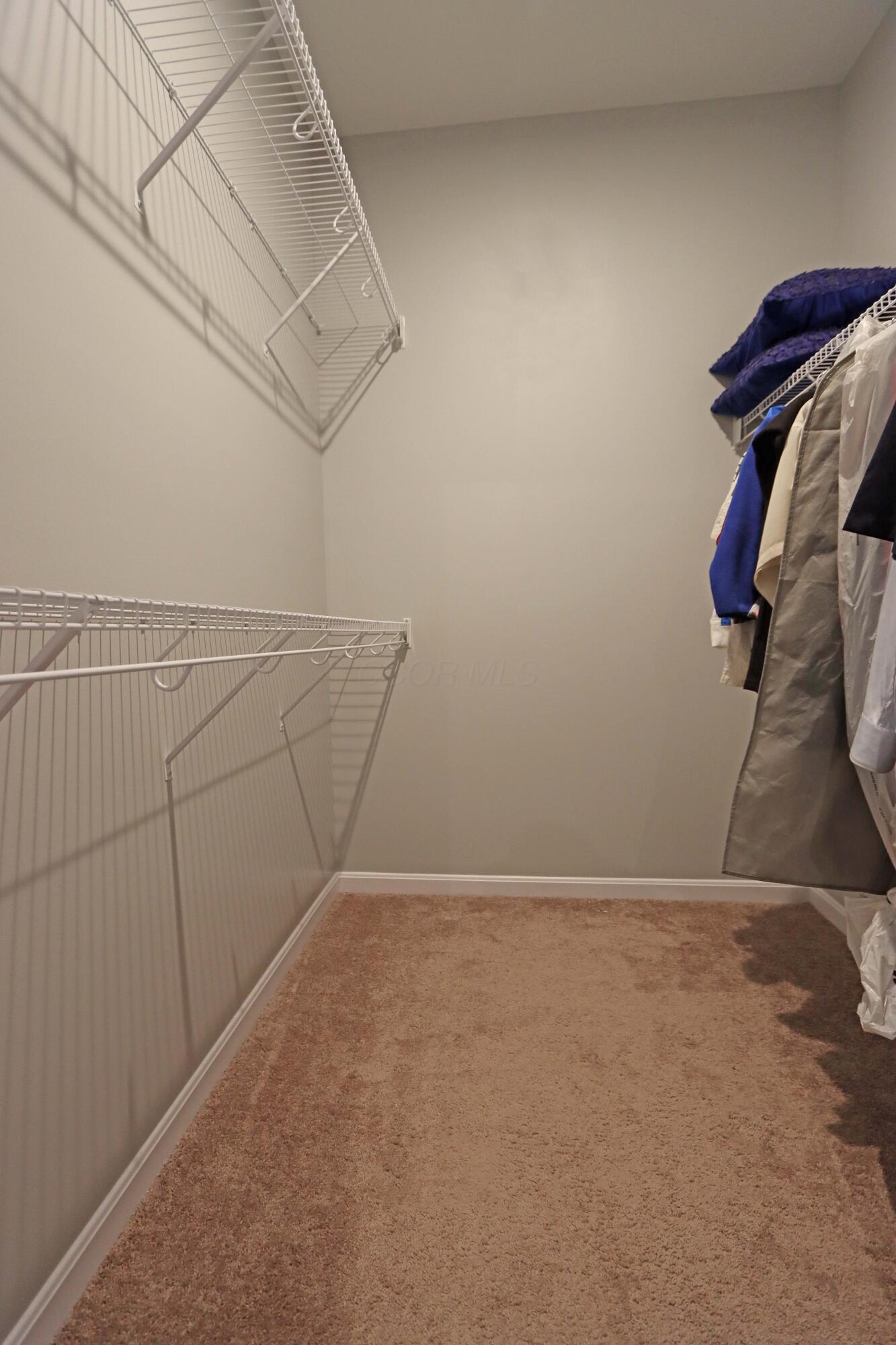 231 Harness Way Delaware, OH 43015 - Photo 34 of 60