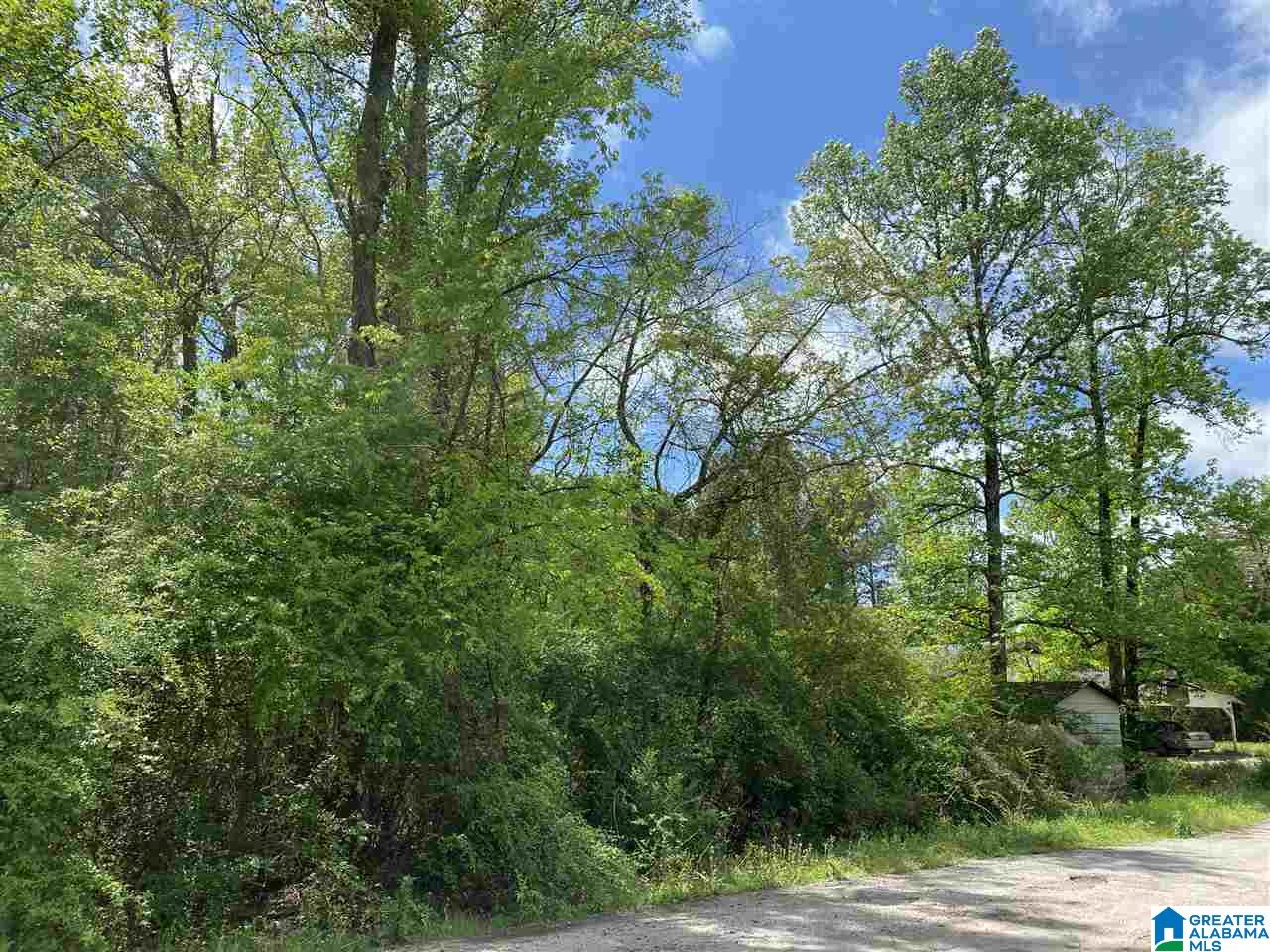 0 Hull Road Sumiton, AL 35148 - Photo 3 of 3