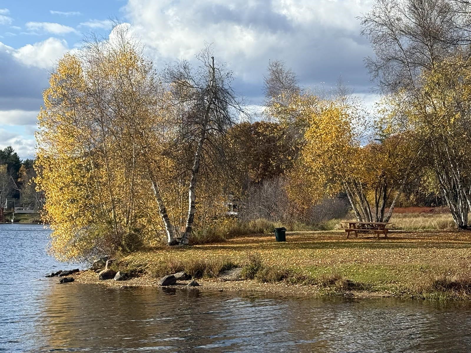21 Shelburne Lane Barnstead, NH 03225 - Photo 48 of 53