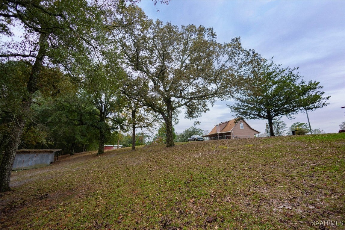 357 Highway 153 Samson, AL 36477 - Photo 9 of 52 Gallery Image 9