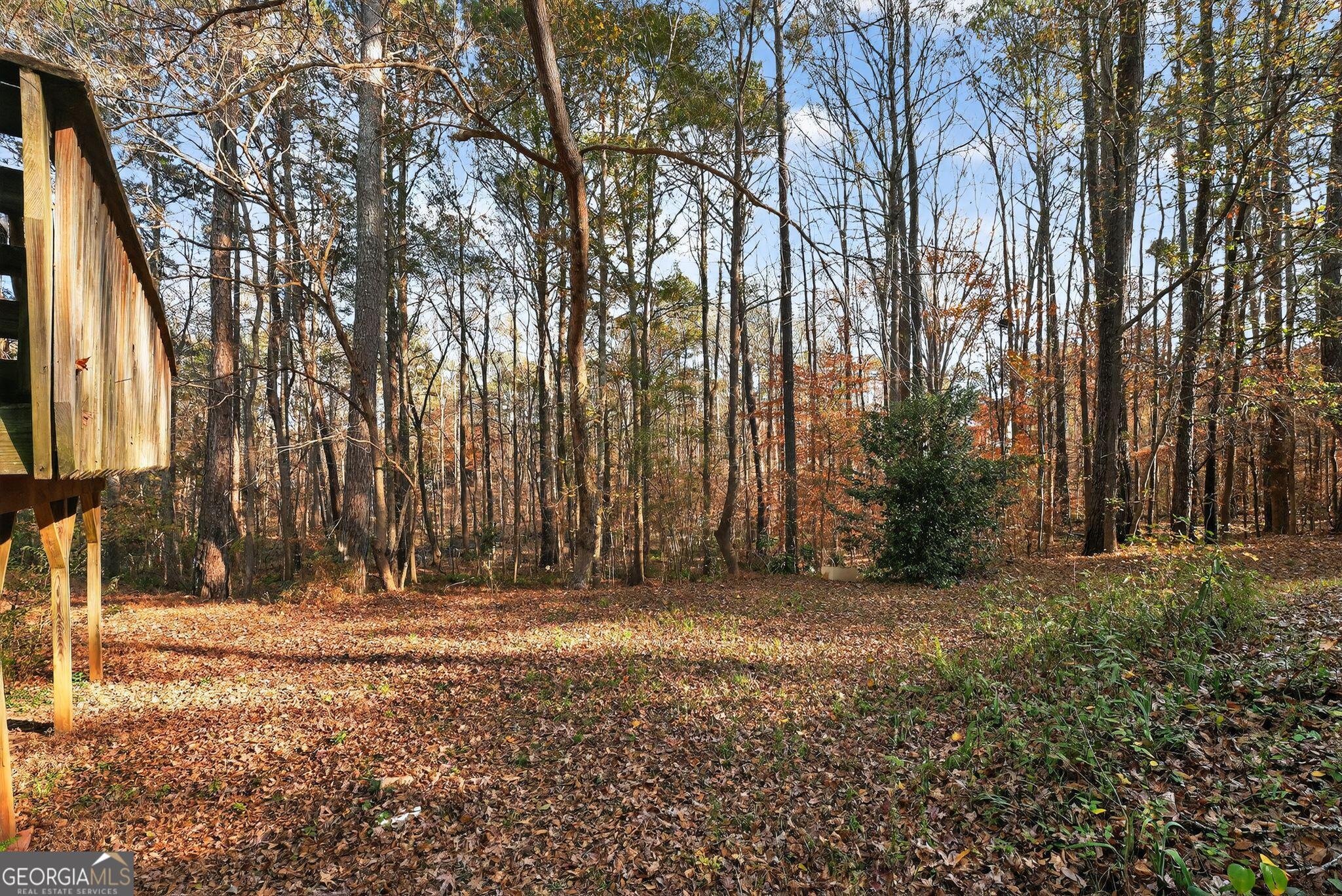 401 The Farm Road McDonough, GA 30252 - Photo 26 of 29 a view of outdoor space with trees