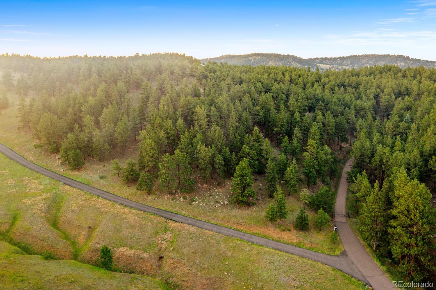 Tbd Lot 4 Tbd Road Evergreen, CO 80439 - Photo 14 of 22 a view of a forest with a mountain