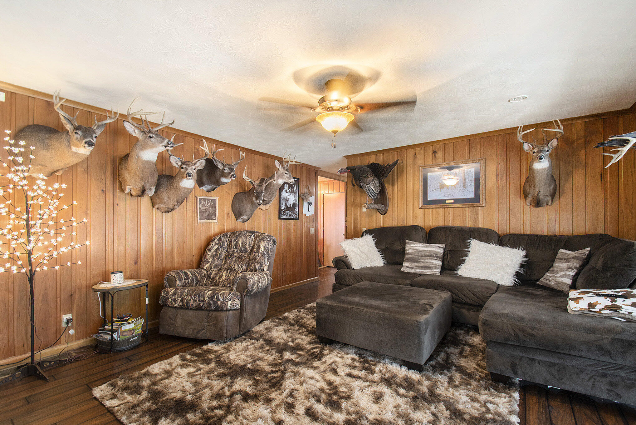 28895 Middle Crossing Road Dowagiac, MI 49047 - Photo 10 of 22 dsc_9920_578
