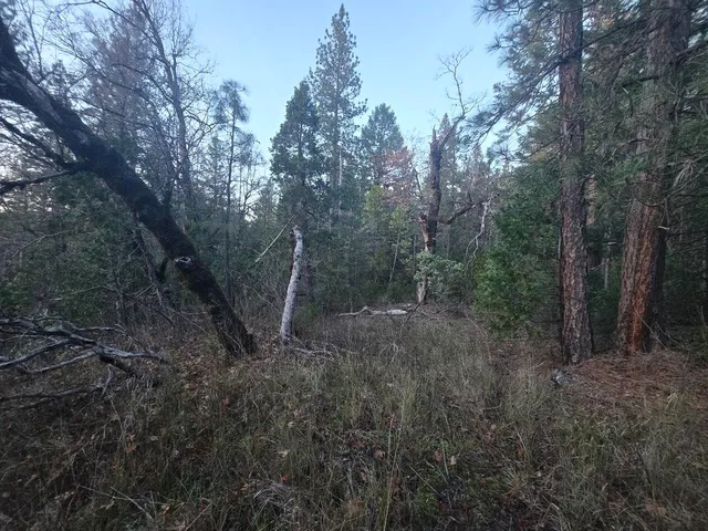 $15,000 | Undisclosed Address, Oak Run, CA 96069