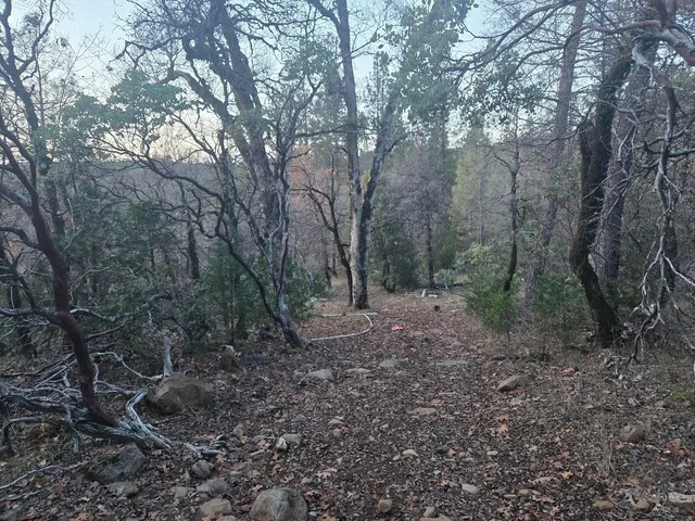 $15,000 | Undisclosed Address, Oak Run, CA 96069