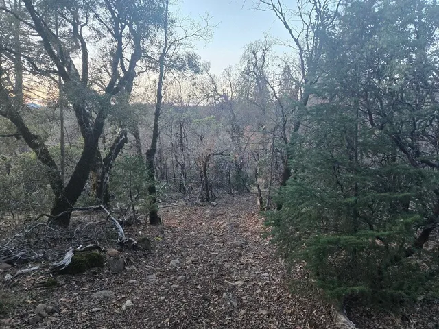 $15,000 | Undisclosed Address, Oak Run, CA 96069