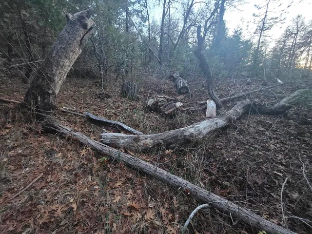 $15,000 | Undisclosed Address, Oak Run, CA 96069