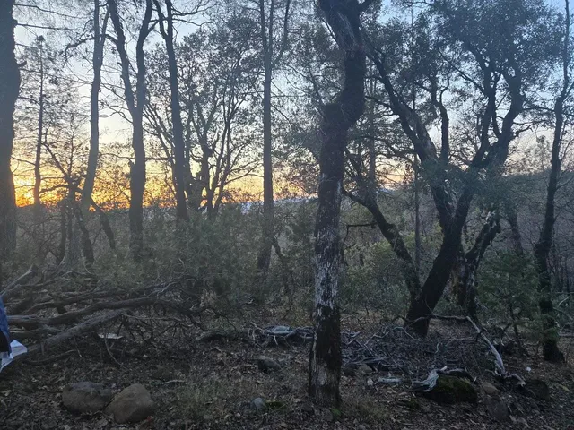 $15,000 | Undisclosed Address, Oak Run, CA 96069