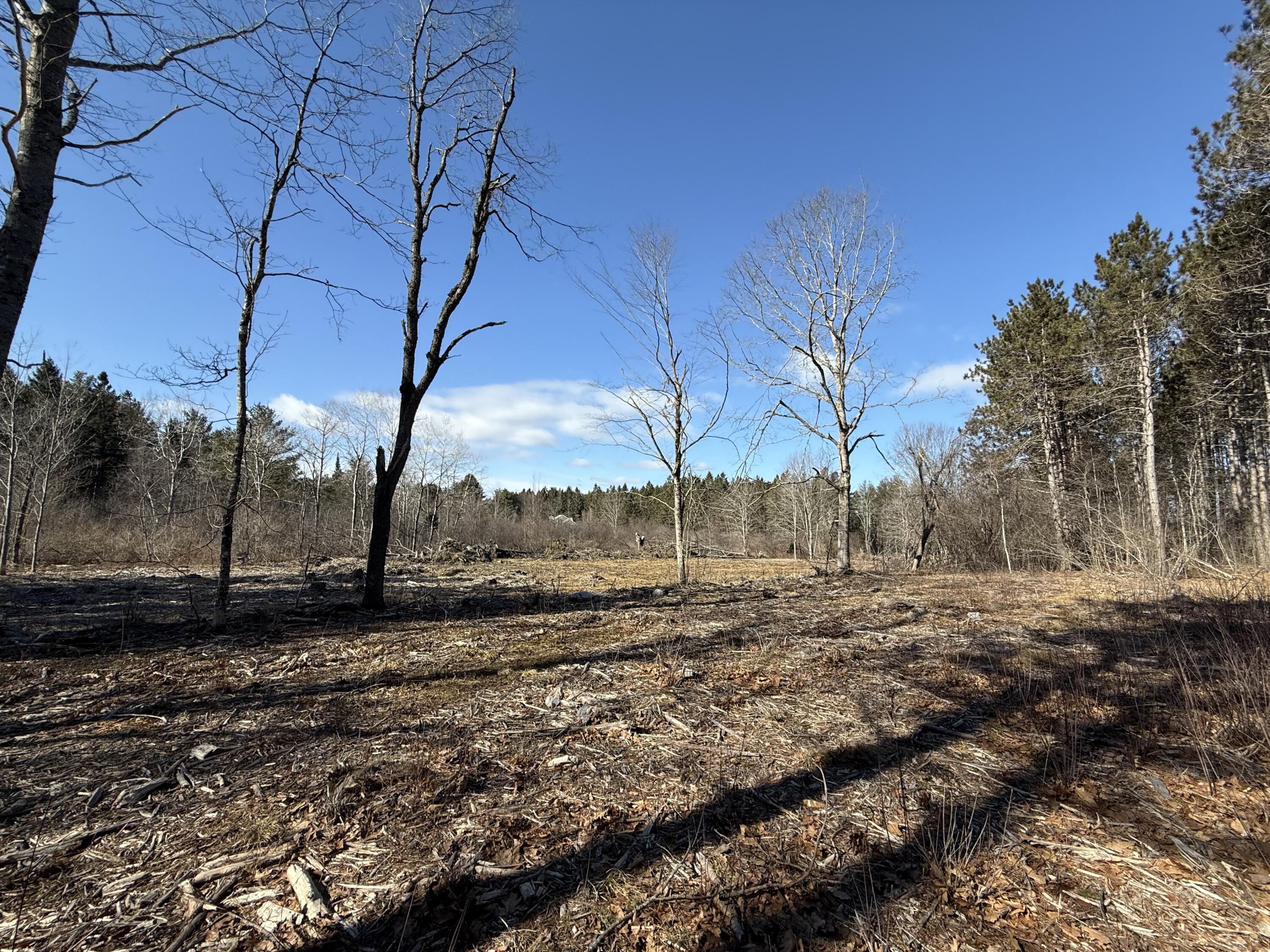 9 Patterson Road Hampden, ME 04444 - Photo 4 of 13 Cleared Area