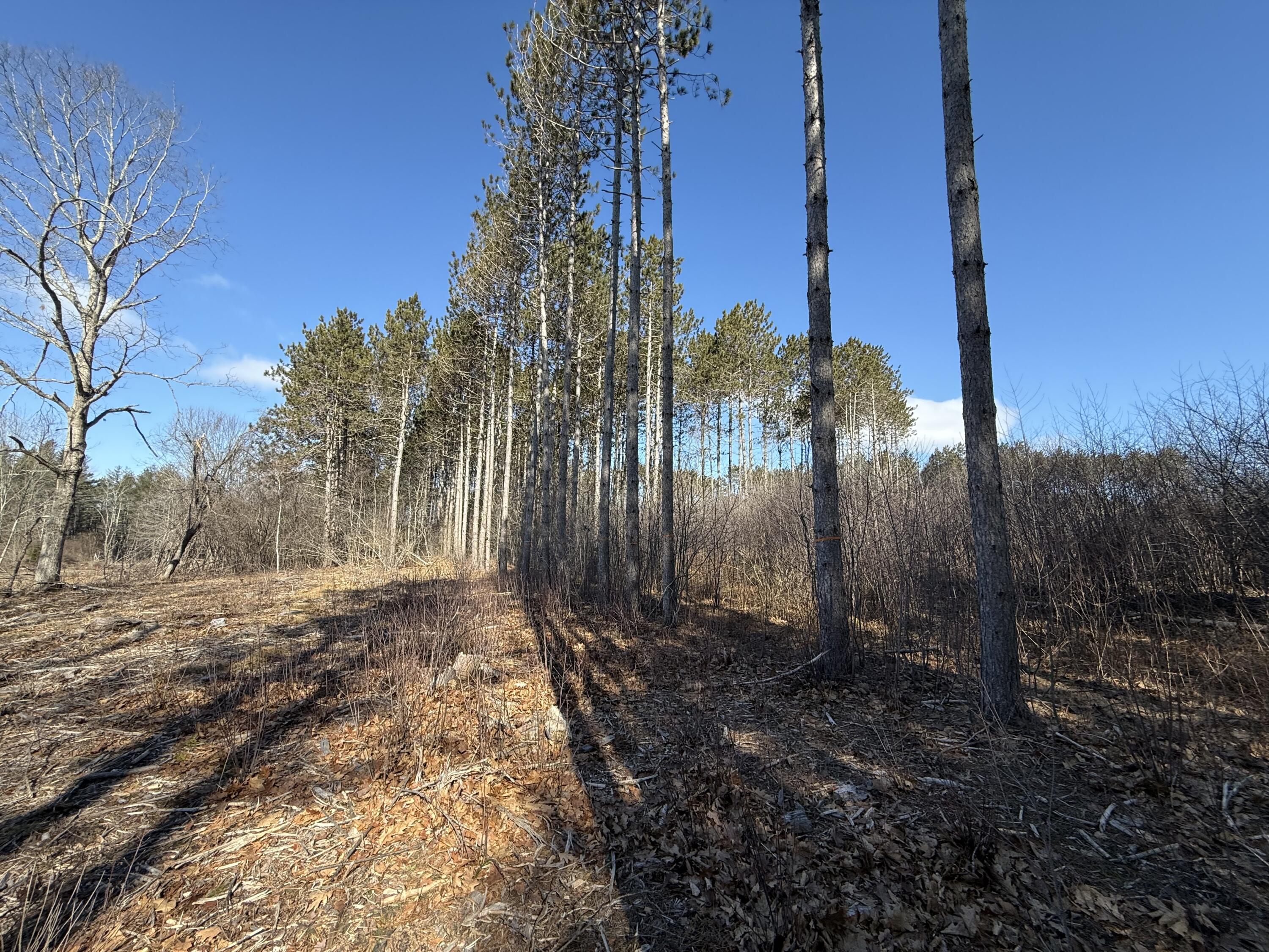 9 Patterson Road Hampden, ME 04444 - Photo 5 of 13 Left Edge of Property